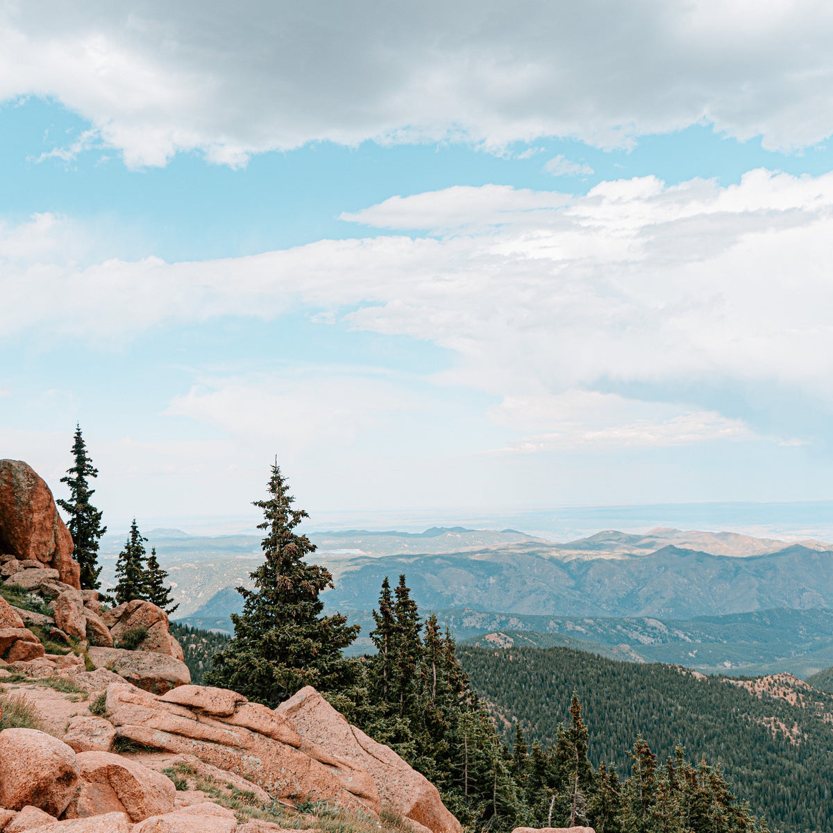 Allergy Season In Colorado Allergens By Region + Symptoms & Treatment