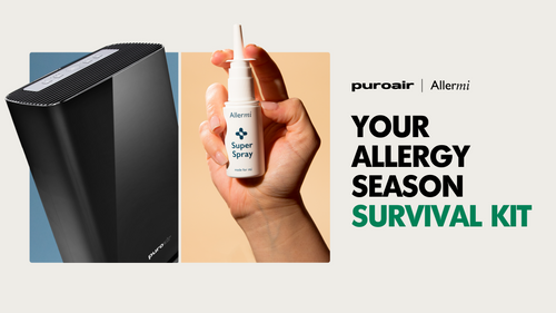 PuroAir and Allermi "Your Allergy Season Survival Kit" graphic with an air purifier and a hand holding Allermi Super Spray.