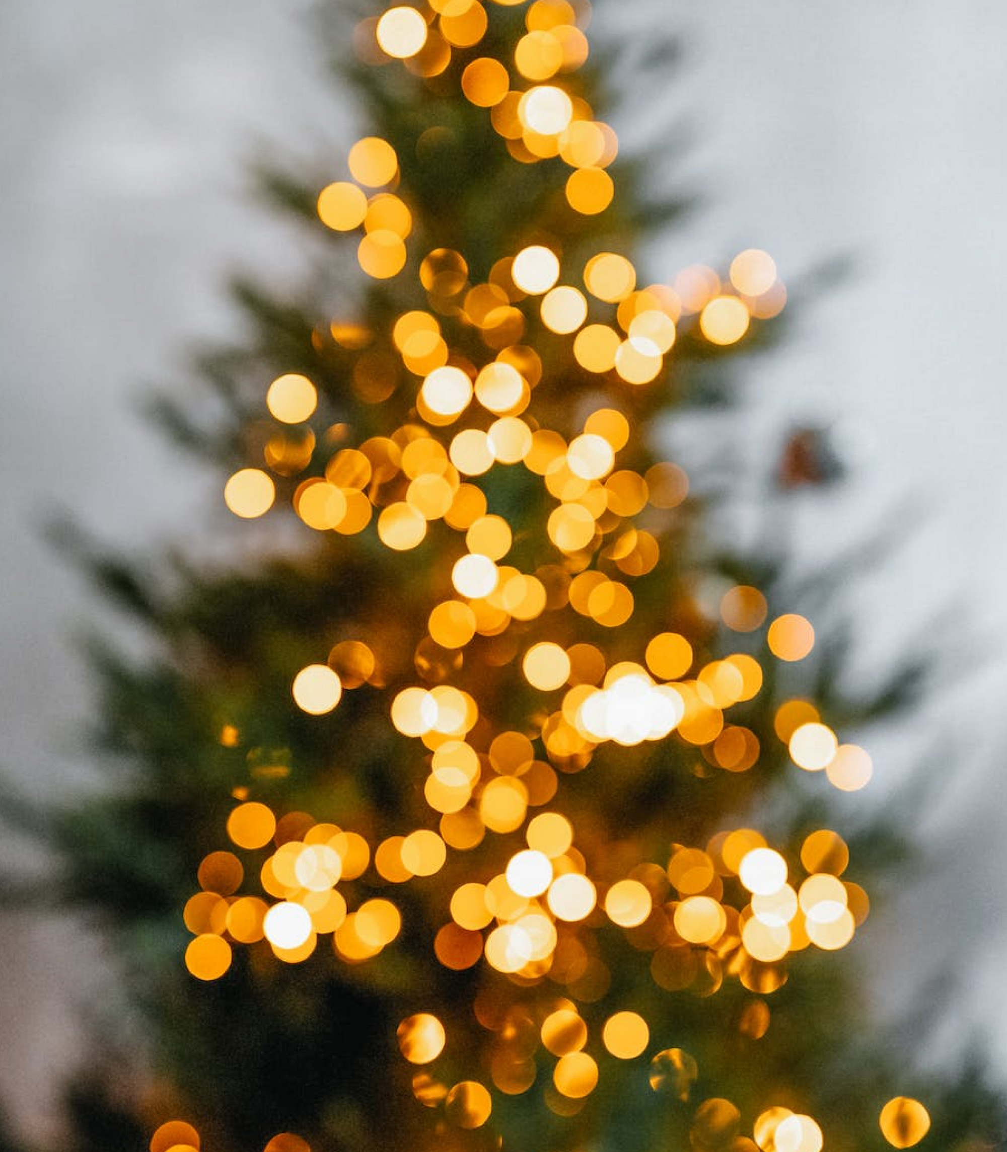 Holiday Tips & Recommendations for Allergies