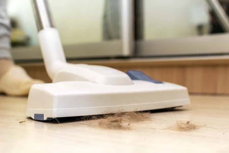Signs That Help You Know If You Have Dust Mites at Home