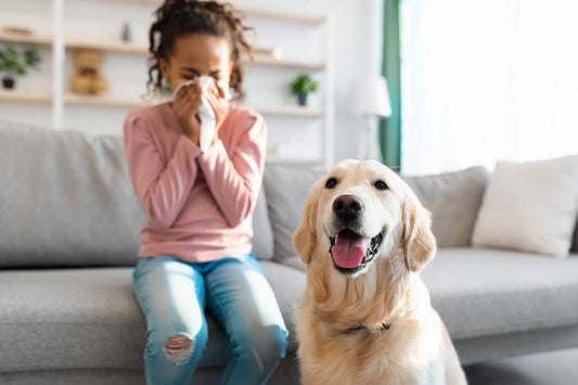 A woman having allergy symptoms due to pet dander