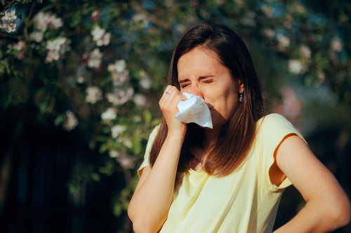 A woman sneezing on spring season