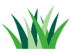 Pollen Count and Allergy Info for Dallas, TX Today